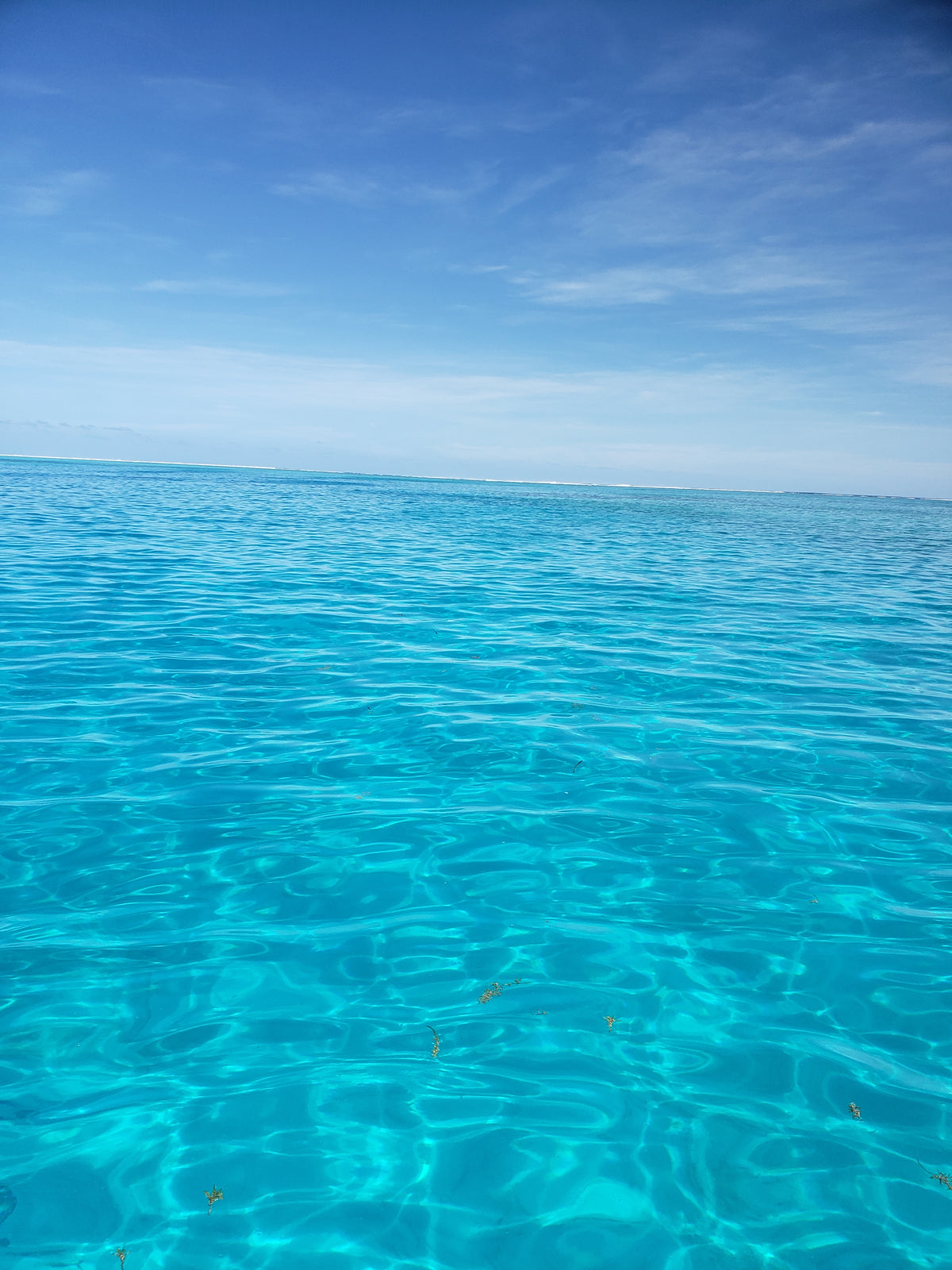 Tropical Ocean Fur Yarn