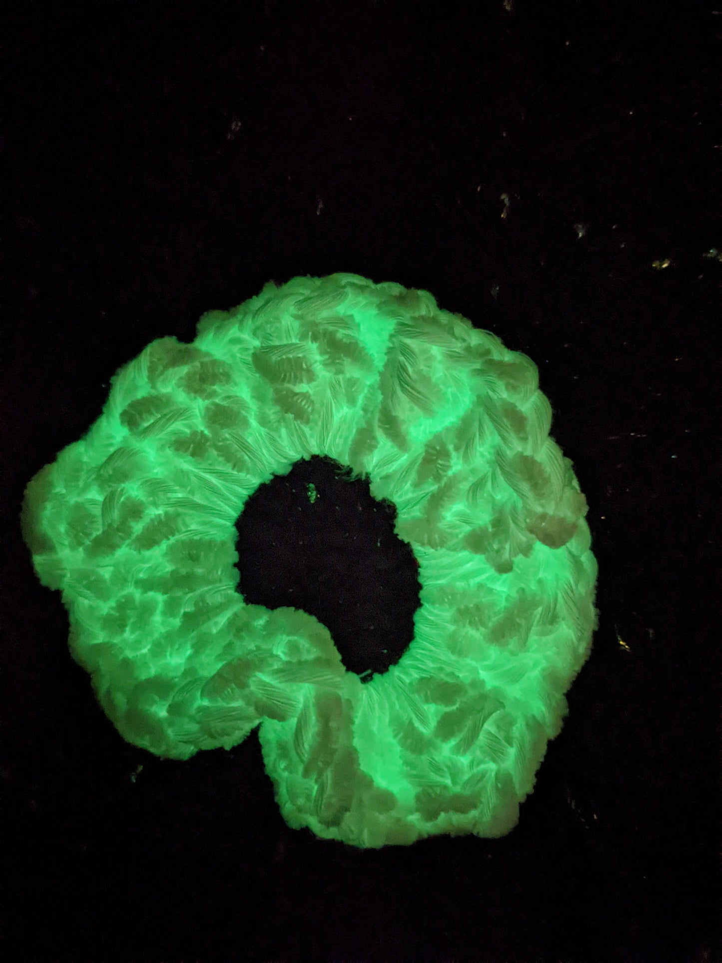 Velvet Glow in the Dark Hair Tie